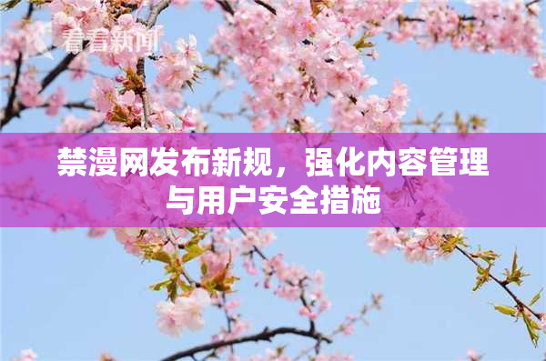 禁漫网发布新规，强化内容管理与用户安全措施