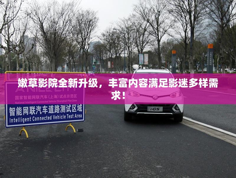 嫩草影院全新升级，丰富内容满足影迷多样需求！