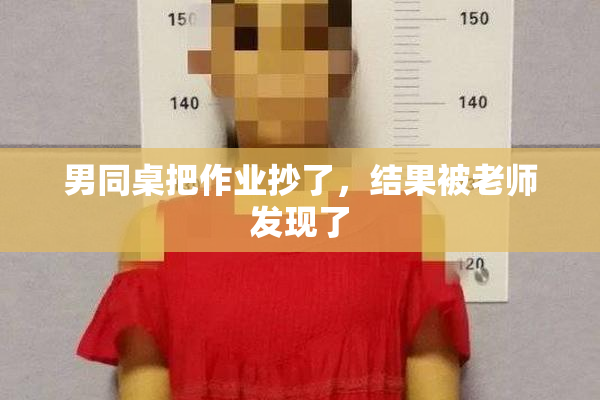 男同桌把作业抄了，结果被老师发现了