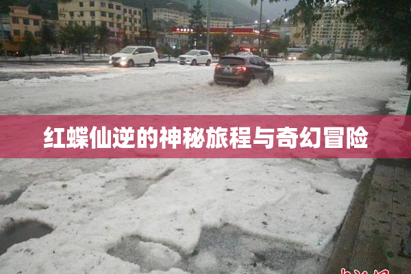 红蝶仙逆的神秘旅程与奇幻冒险