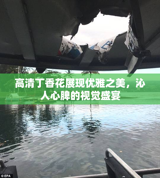高清丁香花展现优雅之美，沁人心脾的视觉盛宴