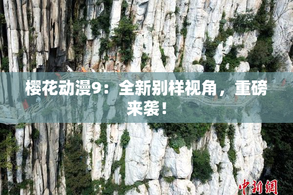 樱花动漫9：全新别样视角，重磅来袭！