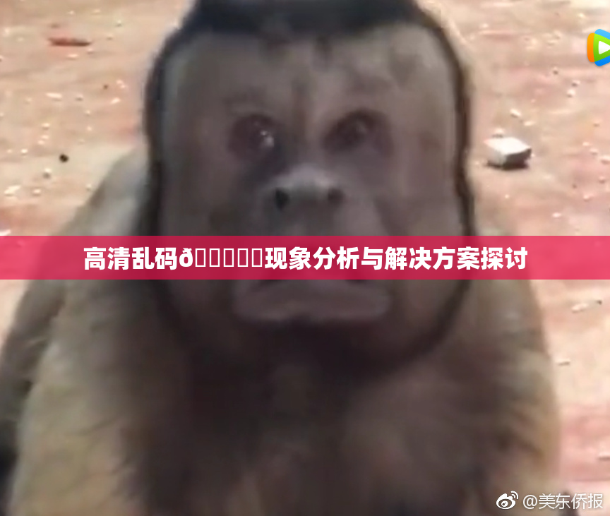 高清乱码🔞❌‌现象分析与解决方案探讨