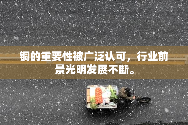 铜的重要性被广泛认可，行业前景光明发展不断。