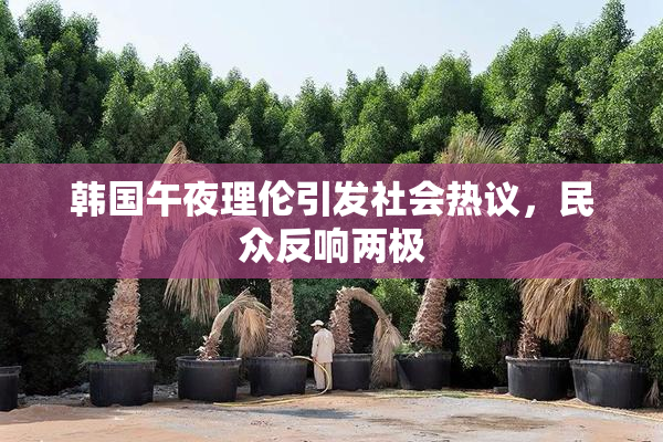 韩国午夜理伦引发社会热议，民众反响两极