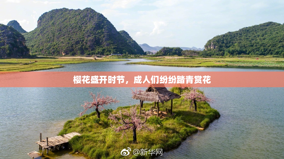 樱花盛开时节，成人们纷纷踏青赏花