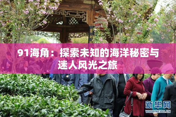 91海角：探索未知的海洋秘密与迷人风光之旅