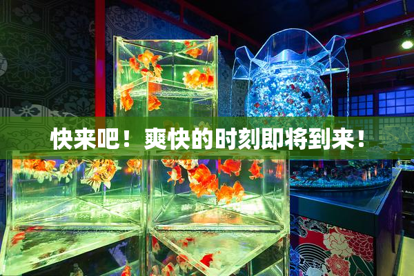 快来吧！爽快的时刻即将到来！