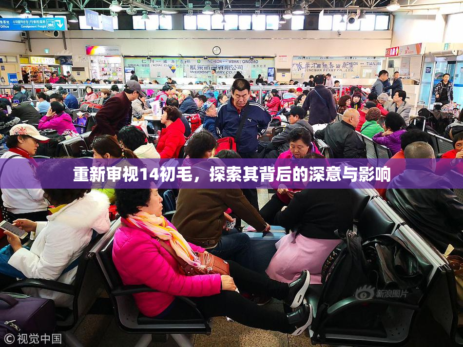 重新审视14初毛，探索其背后的深意与影响