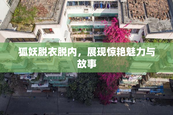 狐妖脱衣脱内，展现惊艳魅力与故事