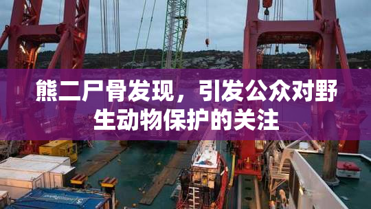 熊二尸骨发现，引发公众对野生动物保护的关注