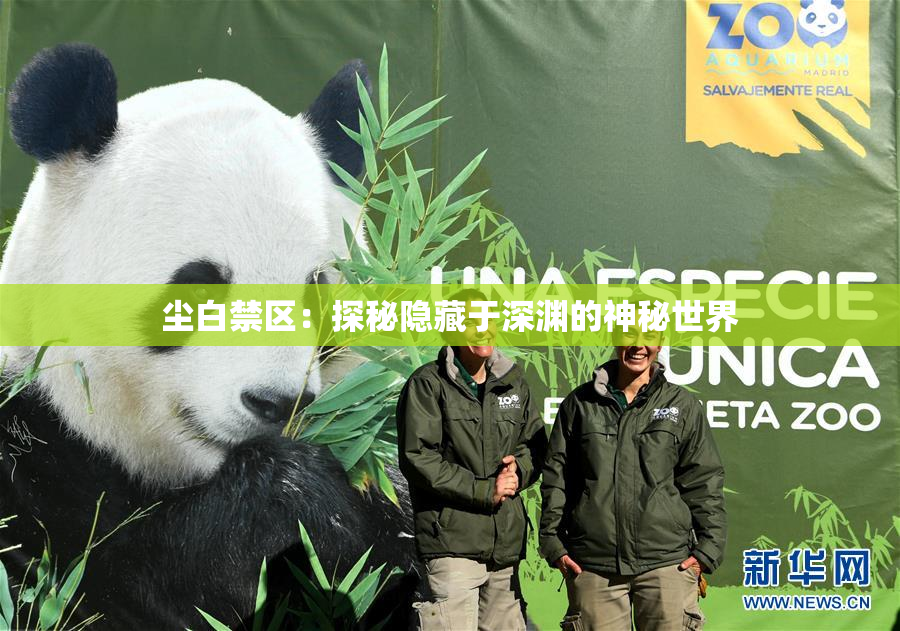 尘白禁区：探秘隐藏于深渊的神秘世界