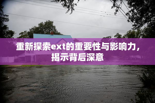 重新探索ext的重要性与影响力，揭示背后深意