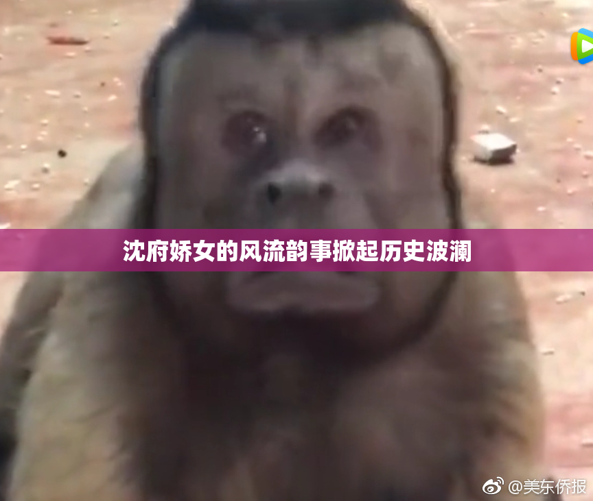 沈府娇女的风流韵事掀起历史波澜