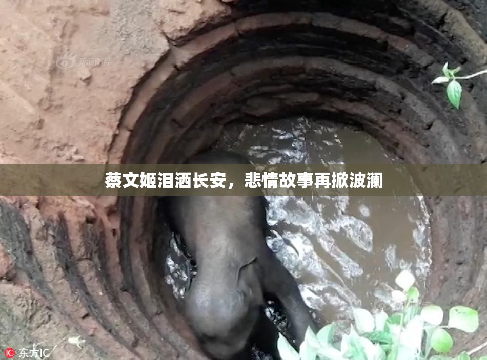 蔡文姬泪洒长安，悲情故事再掀波澜