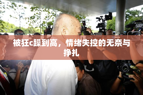 被狂c躁到高，情绪失控的无奈与挣扎