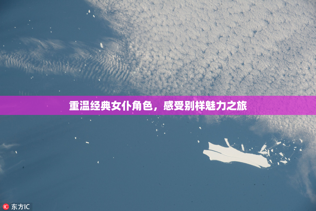重温经典女仆角色，感受别样魅力之旅