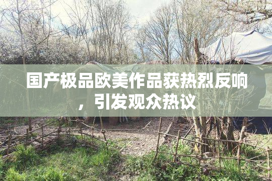 国产极品欧美作品获热烈反响，引发观众热议