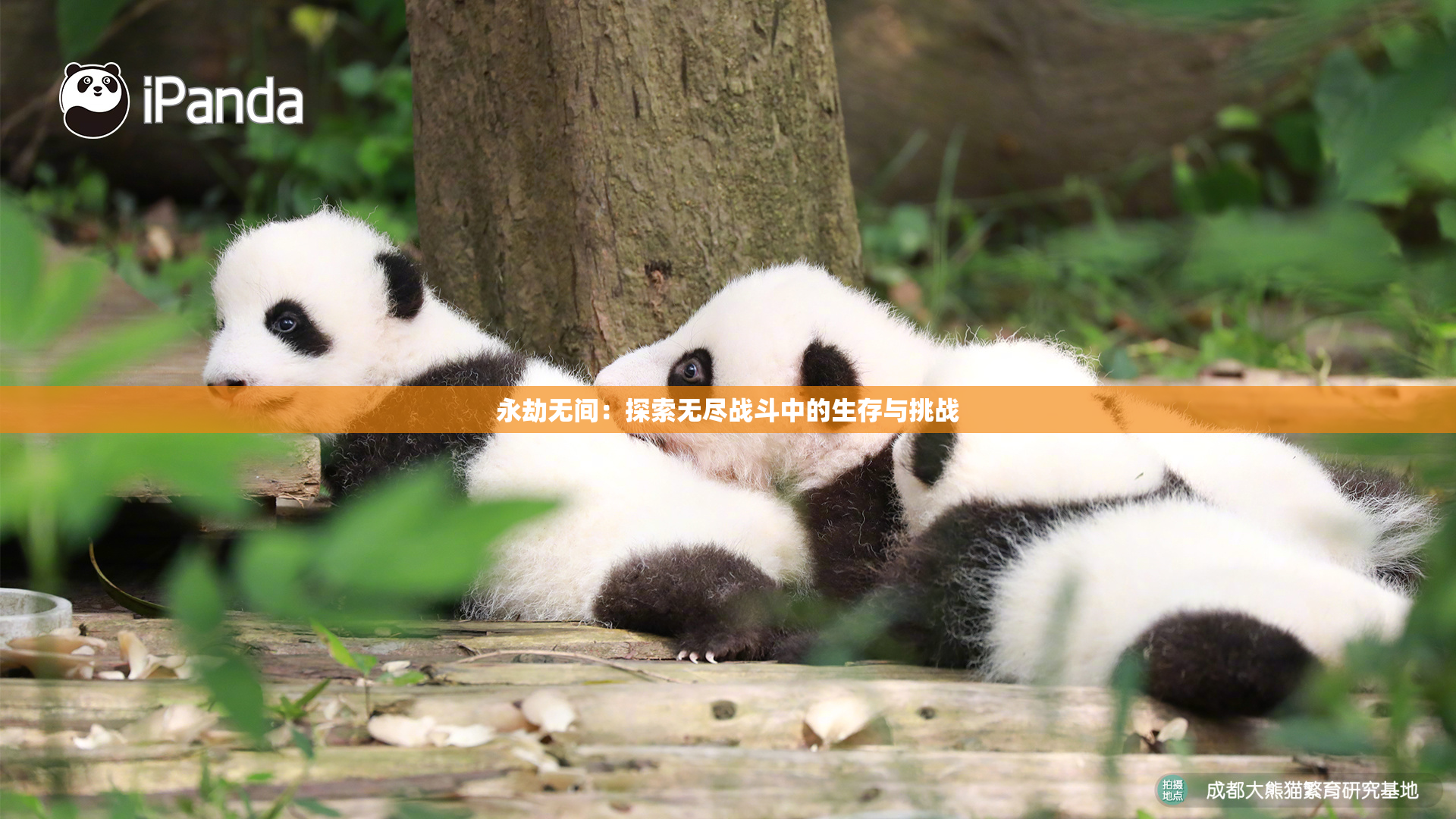 永劫无间：探索无尽战斗中的生存与挑战