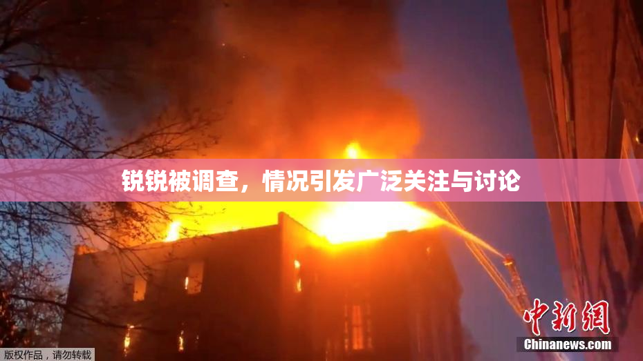 锐锐被调查，情况引发广泛关注与讨论