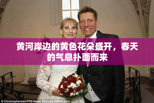 黄河岸边的黄色花朵盛开，春天的气息扑面而来