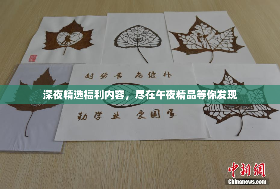 深夜精选福利内容，尽在午夜精品等你发现