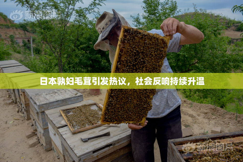 日本孰妇毛茸引发热议，社会反响持续升温