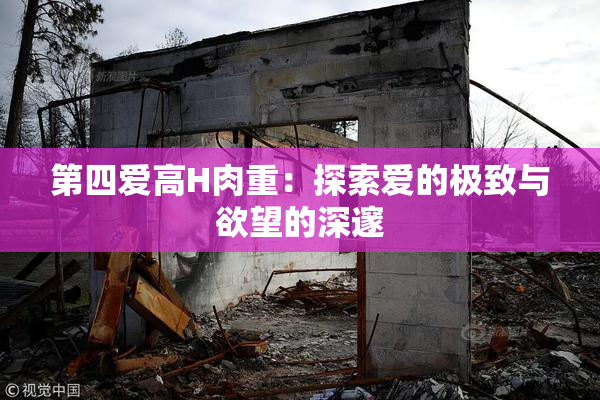 第四爱高H肉重：探索爱的极致与欲望的深邃