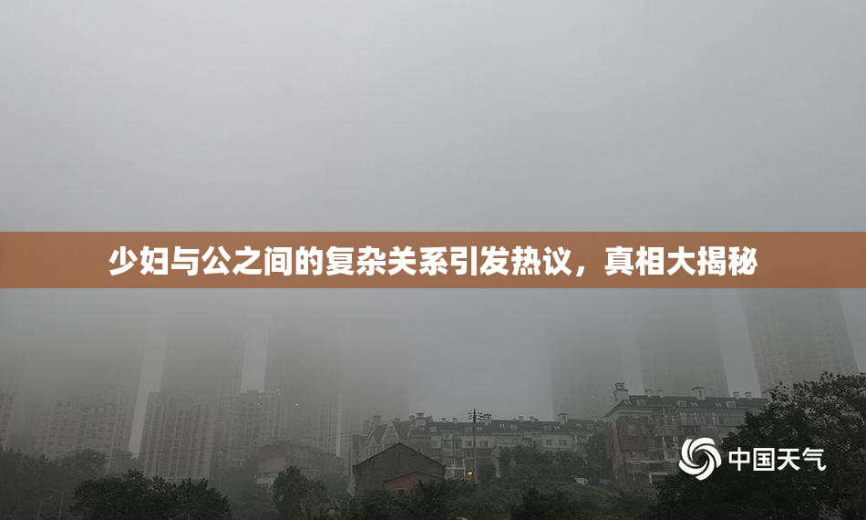少妇与公之间的复杂关系引发热议，真相大揭秘