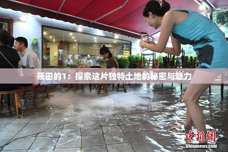 莜田的1：探索这片独特土地的秘密与魅力