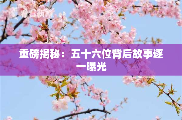 重磅揭秘：五十六位背后故事逐一曝光