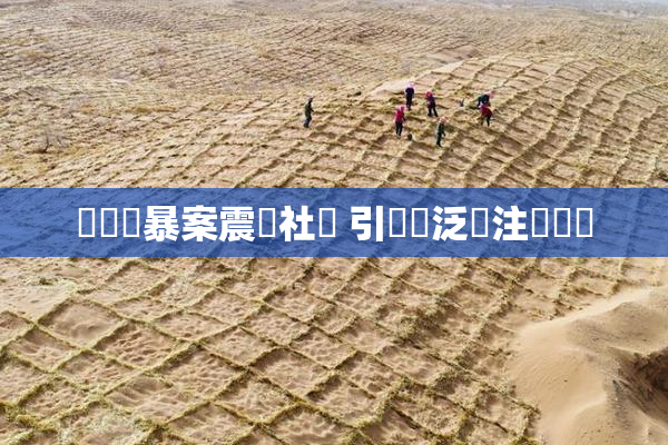 亂倫強暴案震驚社會 引發廣泛關注與討論