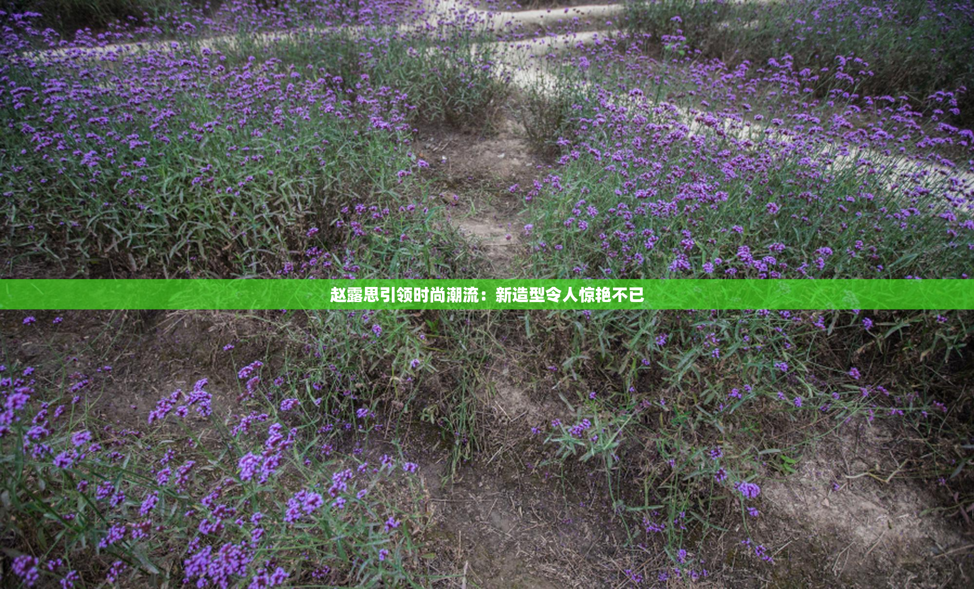 赵露思引领时尚潮流：新造型令人惊艳不已