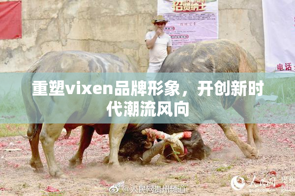 重塑vixen品牌形象，开创新时代潮流风向