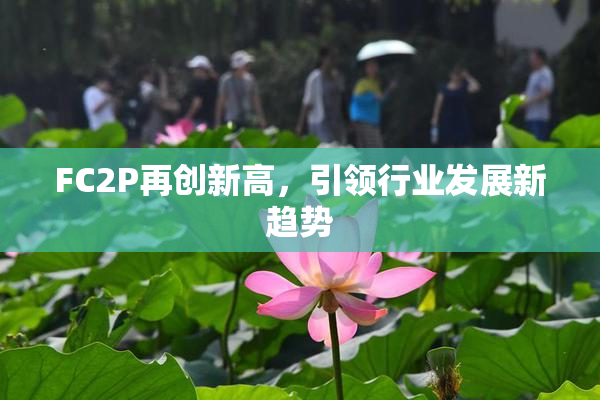 FC2P再创新高，引领行业发展新趋势