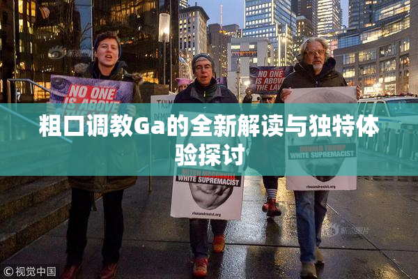 粗口调教Ga的全新解读与独特体验探讨