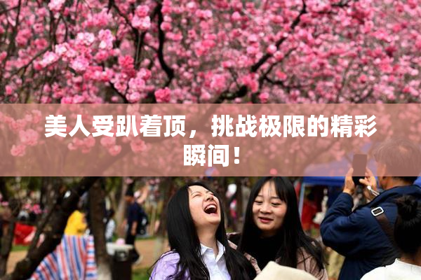 美人受趴着顶，挑战极限的精彩瞬间！