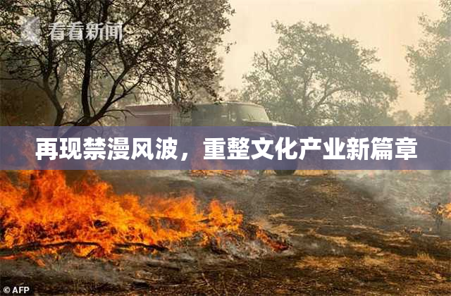 再现禁漫风波，重整文化产业新篇章