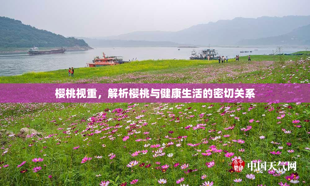 樱桃视重，解析樱桃与健康生活的密切关系