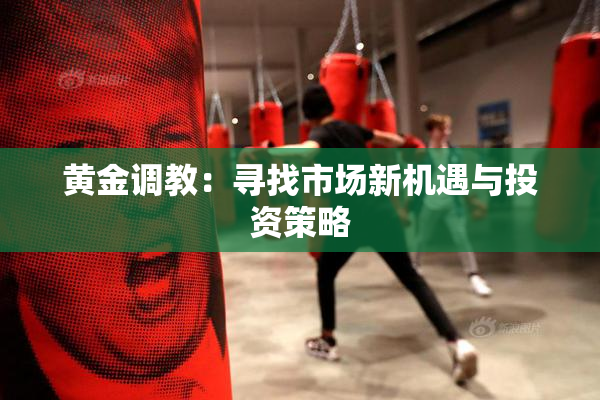 黄金调教：寻找市场新机遇与投资策略