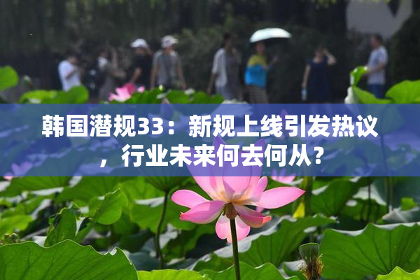 韩国潜规33：新规上线引发热议，行业未来何去何从？