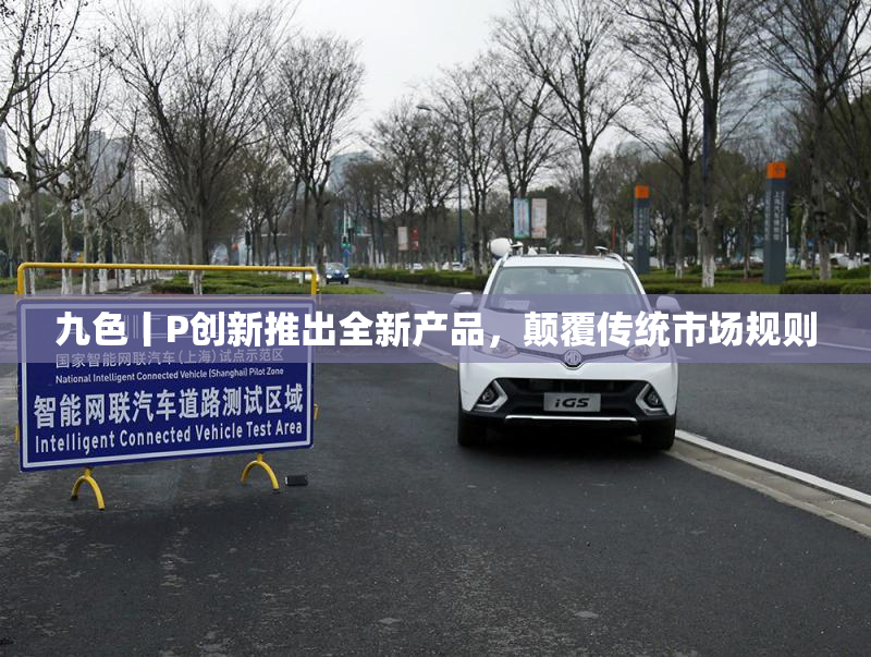九色丨P创新推出全新产品，颠覆传统市场规则