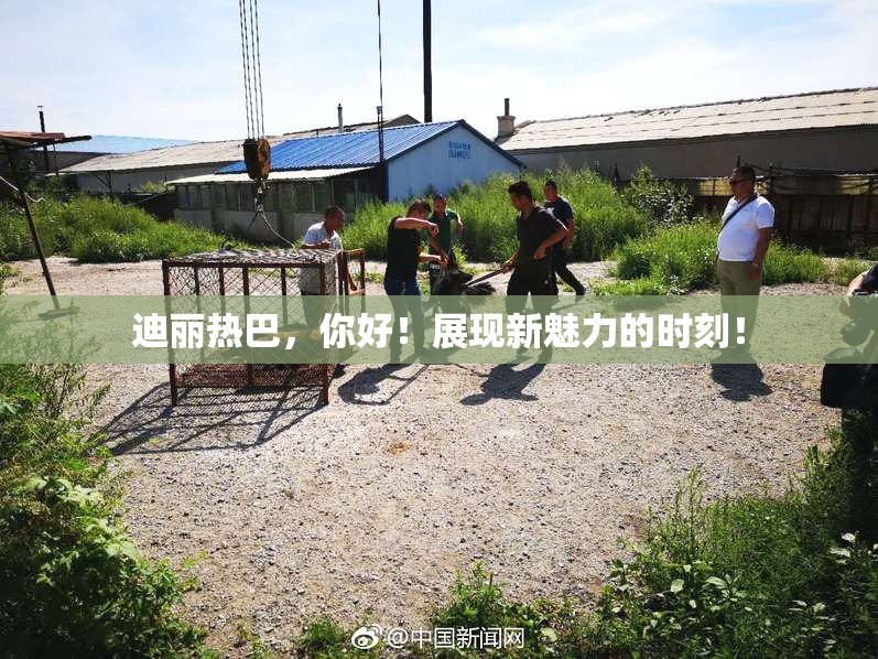 迪丽热巴，你好！展现新魅力的时刻！
