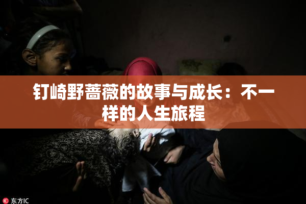 钉崎野蔷薇的故事与成长：不一样的人生旅程