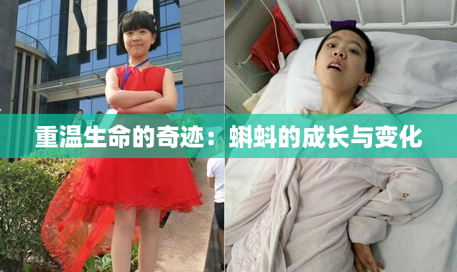 重温生命的奇迹：蝌蚪的成长与变化