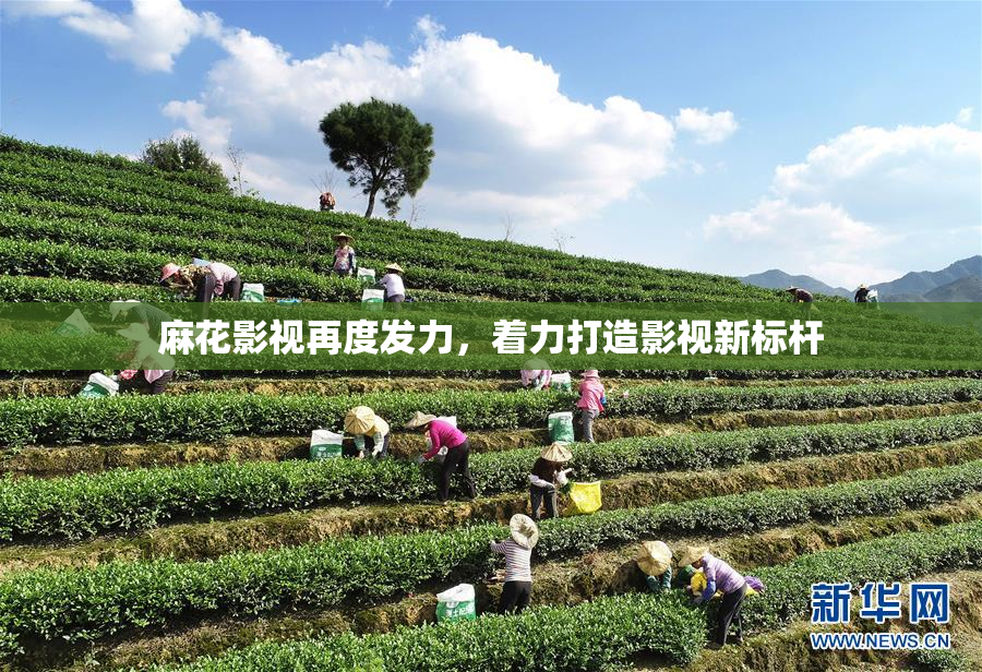 麻花影视再度发力，着力打造影视新标杆