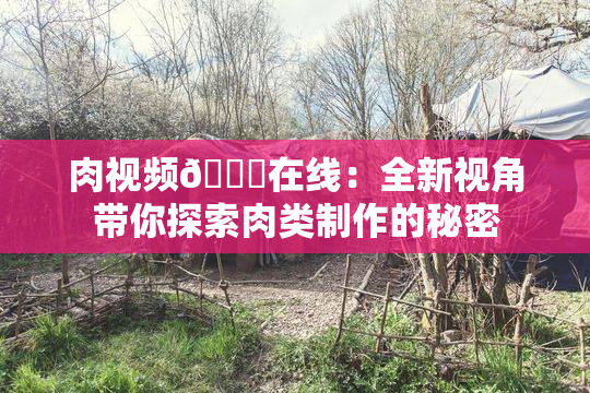 肉视频🔞在线：全新视角带你探索肉类制作的秘密