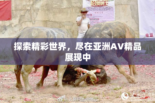 探索精彩世界，尽在亚洲AV精品展现中