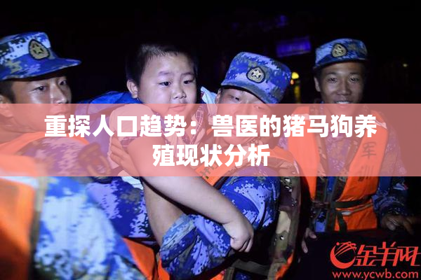 重探人口趋势：兽医的猪马狗养殖现状分析