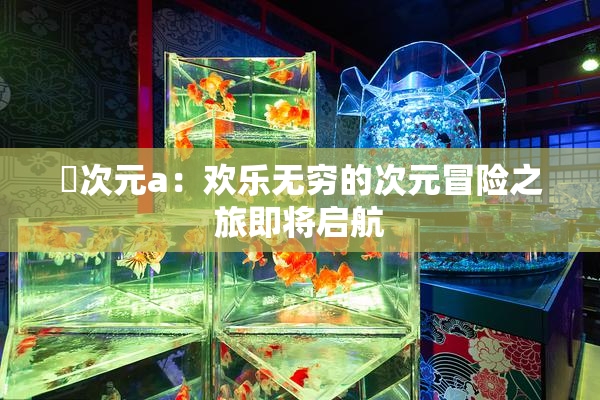 囧次元a：欢乐无穷的次元冒险之旅即将启航